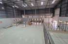 15,000 ft² Warehouse with Backup Generator in Tatu City - 5