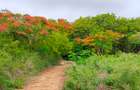 Land in Vipingo - 5