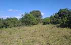 Land in Ngong - 11