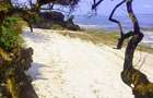 Residential Land in Nyali Area - 8