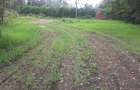 0.25 m² Land in Ongata Rongai - 14