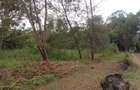 0.5 ac Land at Olepolos - 2