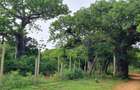 6 ac Land at Kilifi - 9