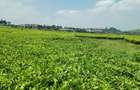 0.5 ac Residential Land in Tigoni - 6