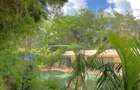 2 Bed House with Swimming Pool in Muthaiga - 1