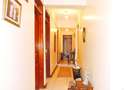 4 Bed Apartment with En Suite in Parklands - 4