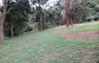 4 ac Land at Mushroom Gardens - 3