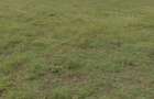 Land in Juja Farm - 2