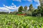 7.5 ac Land in Kikuyu Town - 3