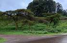 15 ac Land in Tigoni - 2