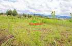 0.05 ha Commercial Land at Gikambura - 6