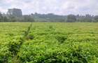 1 ac Land at Riara Ridge - 3