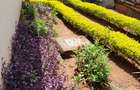 3 Bed House with En Suite at Kigwa Road - 11