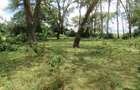 25 ac Land at Moi S Lake Rd - 2