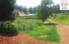 0.25 ac Land at Mwimuto - 4