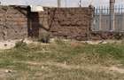 0.25 ac Land at Quarry Road - 6