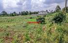 0.05 ha Residential Land at Lusigetti - 12