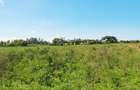 Land at Vipingo - 6