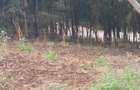Land in Ngong - 2