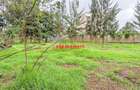 0.05 ha Commercial Land in Kikuyu Town - 2