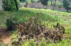 0.5 ac Land at Kinanda Close - 7