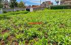 0.05 ha Commercial Land in Kikuyu Town - 1