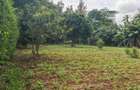 0.5 ac Land in Runda - 1