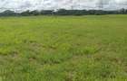 0.125 ac Land at Salgaa - 3