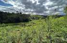 Land in Tigoni - 4