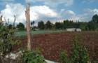 1 ac Land in Tigoni - 15