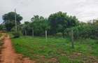 Land in Bofa - 5