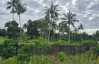 6 ac Land at Bomani - 1