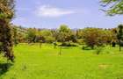 1,000 m² Residential Land at Bondeni - 13
