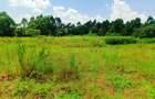 1,000 m² Residential Land at Riu-Nderi - 7