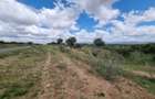 14 ac Land in Bisil - 20