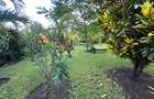 5 Bed Villa with En Suite at Beach Road - 7
