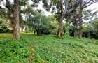 Residential Land at Lower Kabete Rd - 10