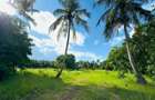 Land in Diani - 3