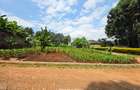0.42 ac Land in Kiambu Road - 1