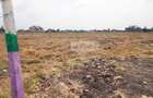 506 m² Land in Syokimau - 3