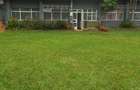 Commercial Property with Parking in Lavington - 2