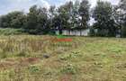 0.1 ha Commercial Land in Limuru - 9
