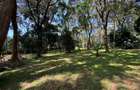 1 ac Land in Karen - 13