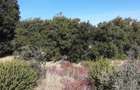 5 ac Land in Kitisuru - 4