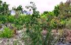 2,010 m² Residential Land at Second Row Kuruwitu Beach - 14