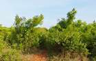 Land in Diani - 2