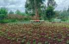 0.125 ac Land at Off Ruaka Banana Road - 3