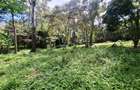 1.49 ac Land in Riara Road - 5