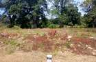 1,000 m² Residential Land at Vipingo - Kuruwitu - 2