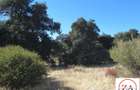 5 ac Land in Kitisuru - 5